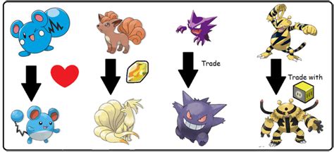 pokemon evolução.